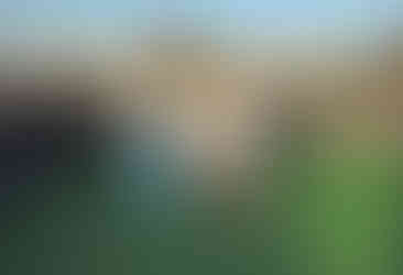 как сделать предложение, романтик