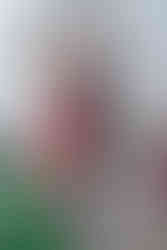 Романтичний  вечір.. Київ.романтик