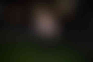 романтические рестораны Киева, romantic