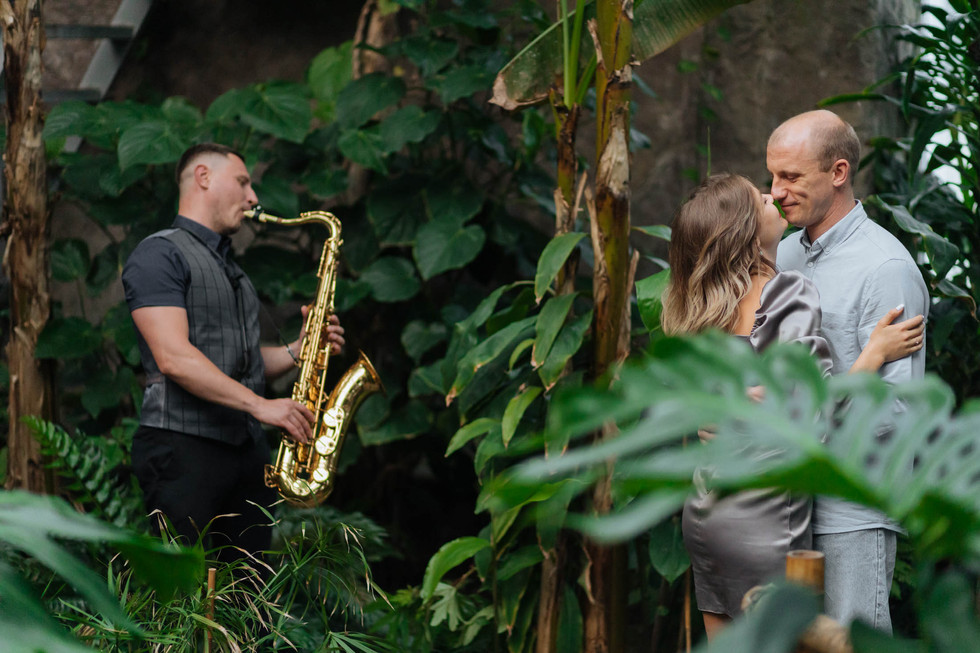 Вечір в оранжереї Київ. романтик