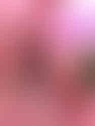 Романтична вечеря. Київ.романтик