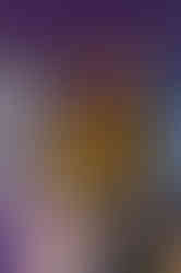 Романтика на крыше, Киев