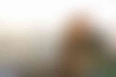 рестораны Киева с террасой на крыше