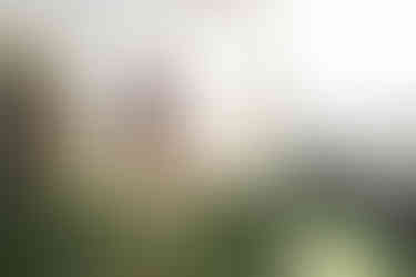 рестораны Киева с террасой на крыше