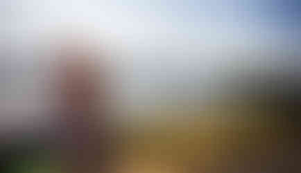 крыши Киева