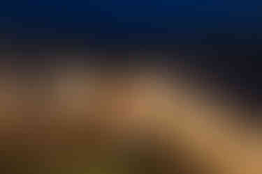 Романтична вечеря на даху в Києві