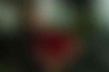 Як зробити пропозицію. Київ. Романтик