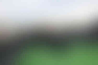 как сделать предложение, романтик