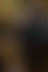 Романтичний вечір в ботанічному саду