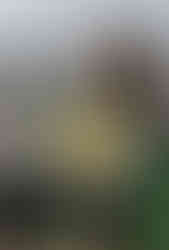 Романтичне побачення на даху. Киїів