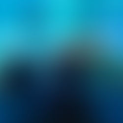 Романтичний вечір  в океанаріумі