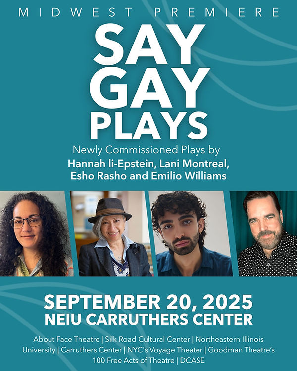 Say Gay AboutFace.jpg