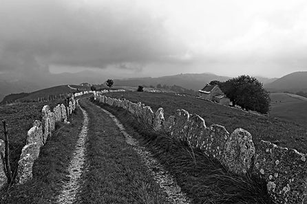 _MG_2068.jpg