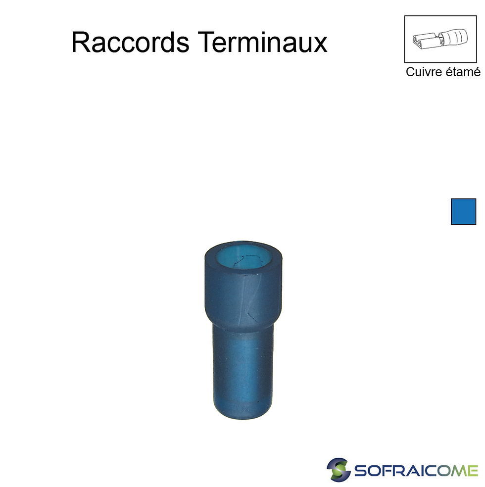 Miniatura: Raccords terminaux - Section 1,5-2,5 mm² - Bleu