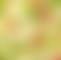 Nossas saladas são um espetáculo à parte – combinações criativas com cereais, grãos, sementes, frutas, folhas e vegetais fresquinhos que tornam cada prato colorido,