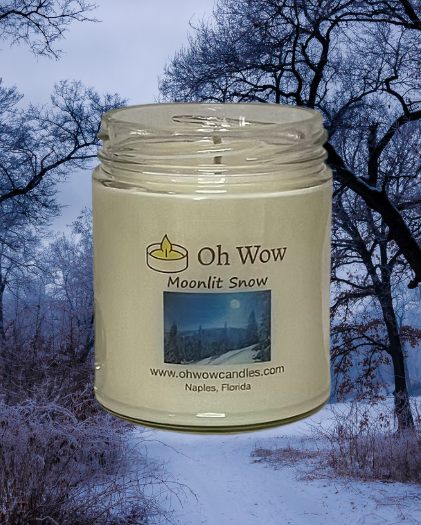 Moonlit Snow soy wax candle
