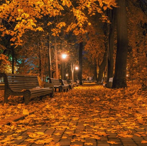 Autumn night soy wax melt