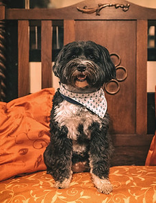 FLiN 0034_edited.jpg