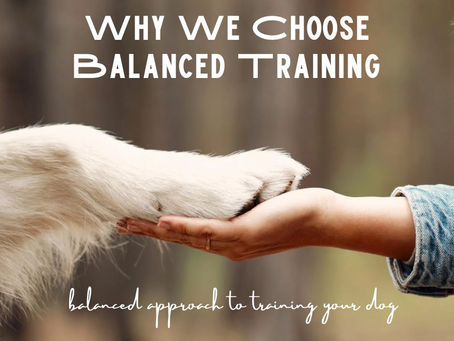 Why We Choose Balanced Training