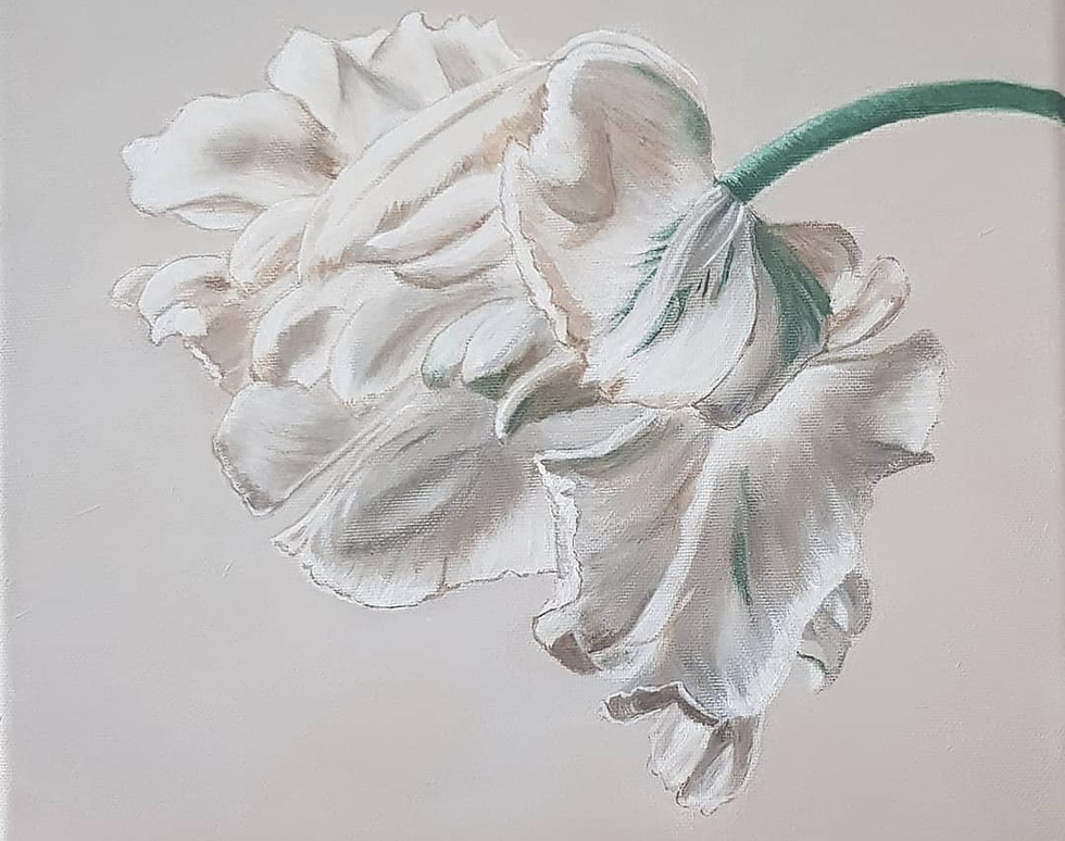 17885952805726185.jpg