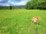 28.webp