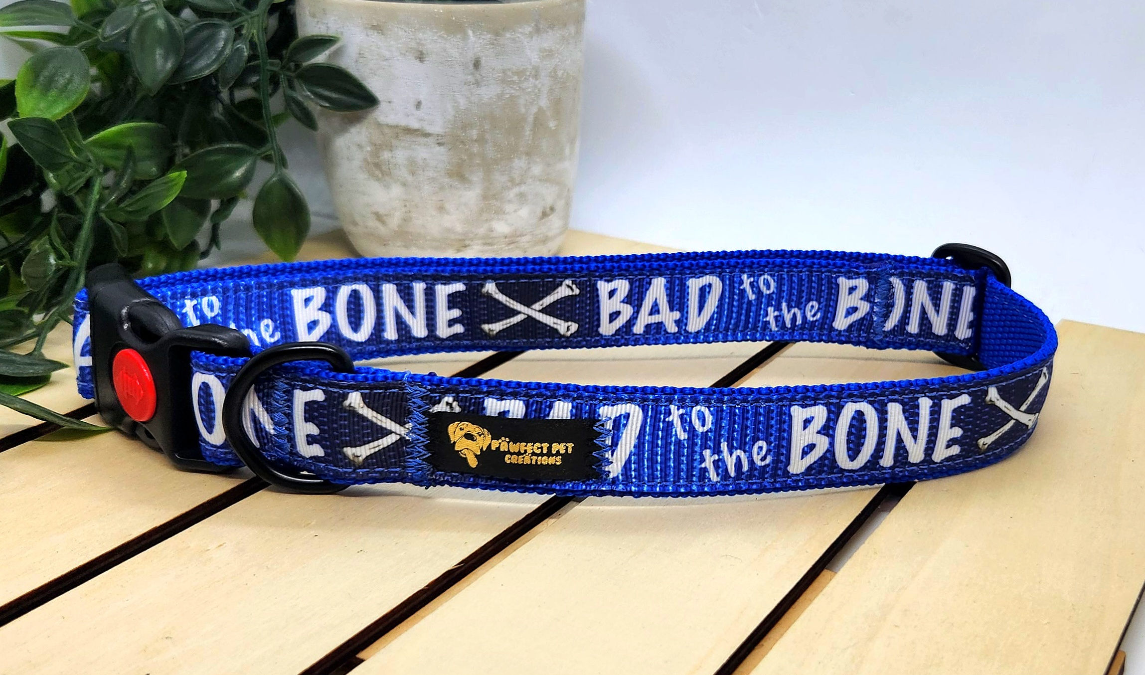 Bad To The Bone Blue 25mm Collar