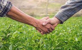 Partnership2.jpg