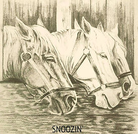 Pleasant drawing of three horses snoozin' by artist BETS