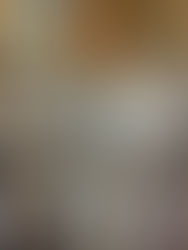 La tribu du grand ouest