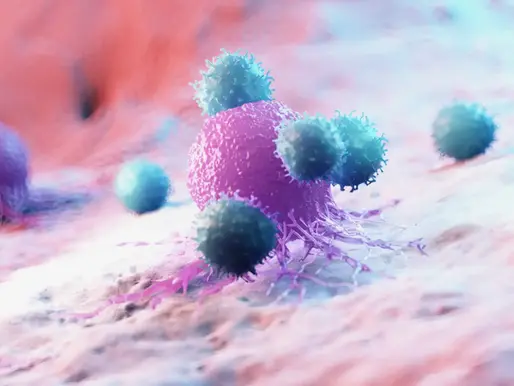 Un vaccin expérimental fournit des résultats prometteurs pour traiter le cancer du sein HER2