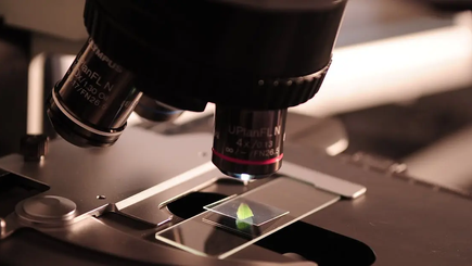 Les découvertes scientifiques majeures de 2025 qui pourraient changer notre avenir