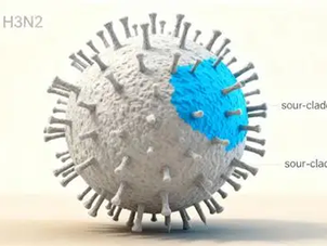 L’Europe connaît une saison grippale intense et précoce due au sous-clade K