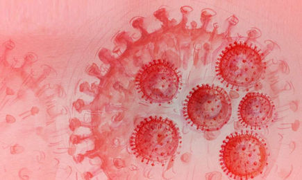 SARS-Cov-2 : deux variants dangereux se sont combinés en un nouveau virus