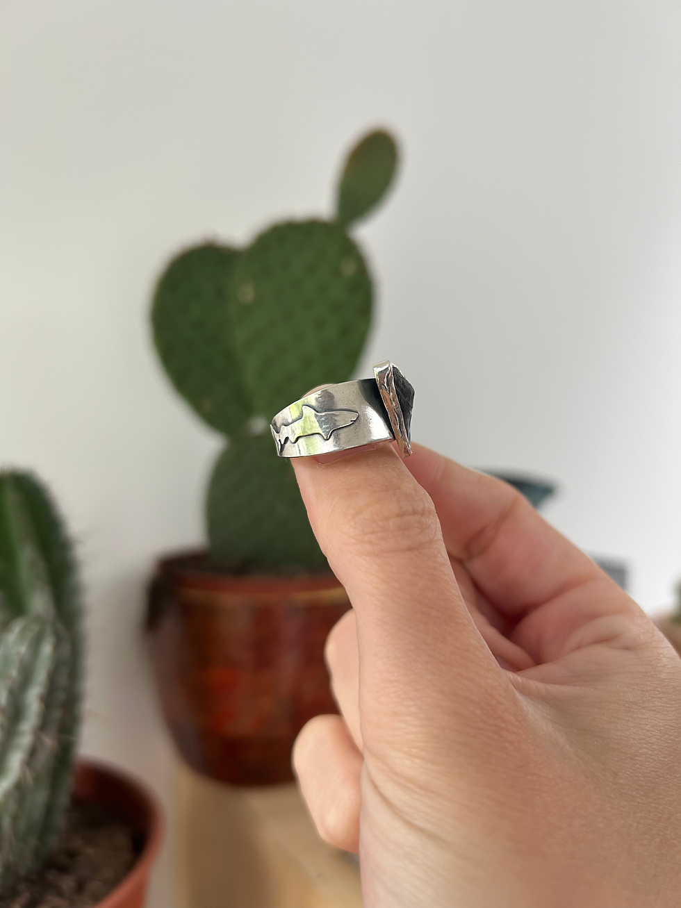 Thumbnail: Fossilised Mako Shark Tooth Ring