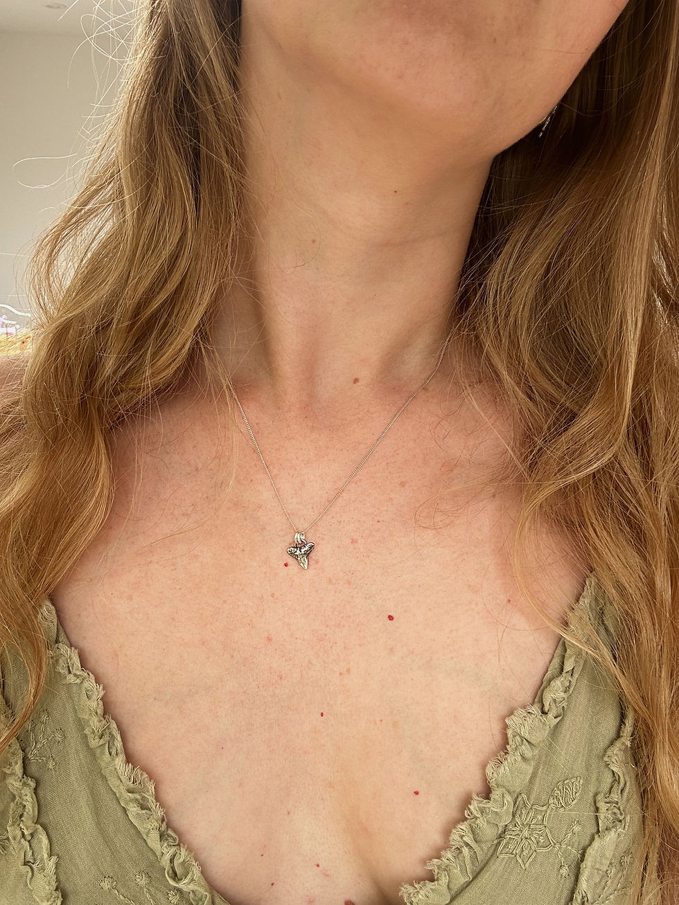 Thumbnail: PREORDER Mini Silver Shark Tooth Necklace