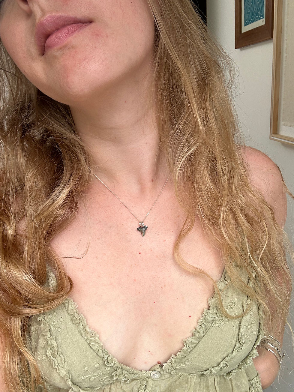 Thumbnail: PREORDER Silver Shark Tooth Necklace