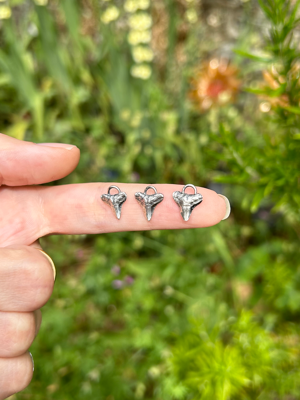 Thumbnail: PREORDER Mini Silver Shark Tooth Necklace