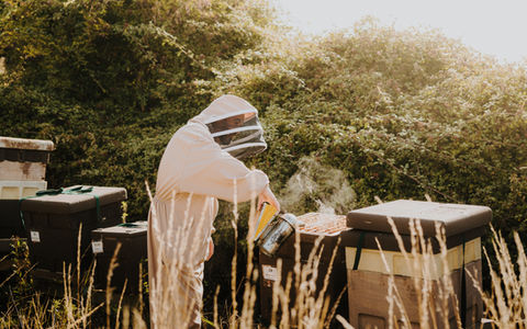 Ooni - Dough Ball Disco - Hot Honey Edits-84.jpg