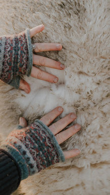 A Year of Seasons with Country Living