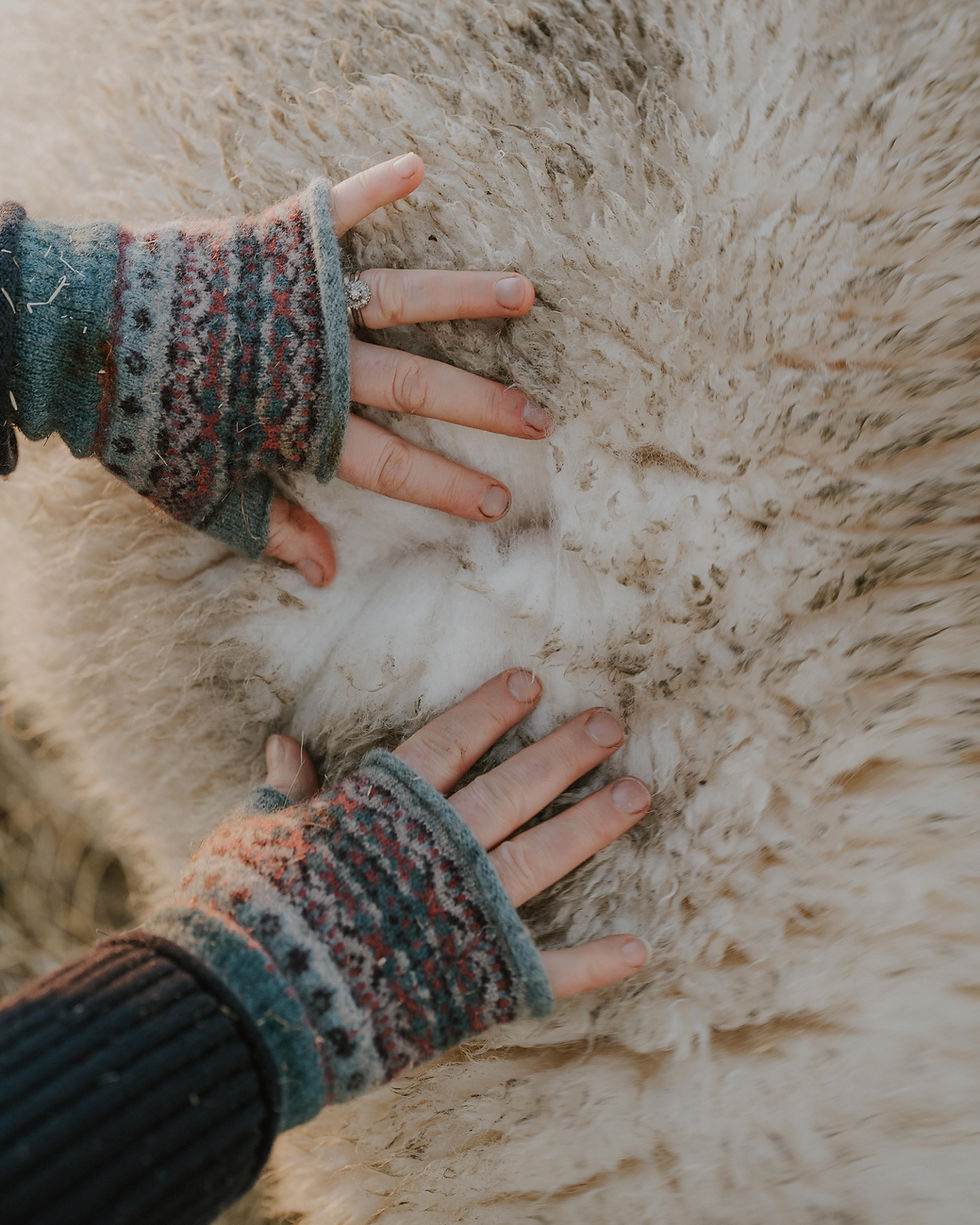 A Year of Seasons with Country Living