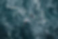 Copy of AG_WCSS_HIGHRES_DRONEIMAGES27.jpg