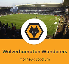 Wolves-logo-IMstudiomods