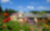 Hilltop House.jpg