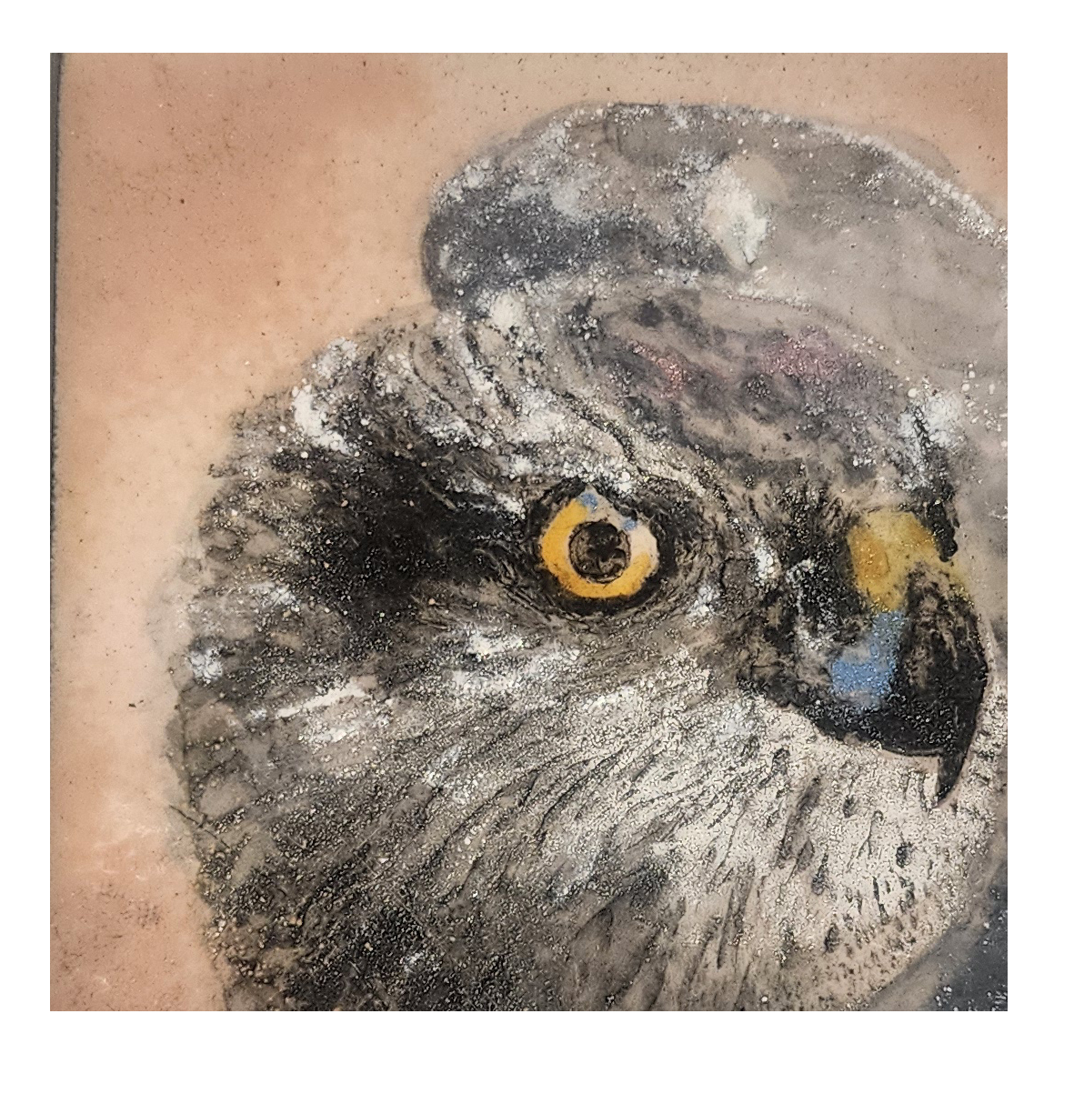 Hawk Eye