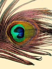 Casting: Juno & The Paycock