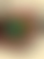 Casting: Juno & The Paycock