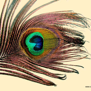 Perspective: A Shooting Star Sort of Thing