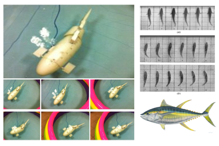 Yellow-fin tuna mimicking underwater vehicle