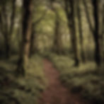 An autumn forest