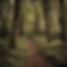 10E05704-5DC4-4179-96D8-A4D838F01223.jpeg